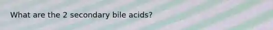 What are the 2 secondary bile acids?