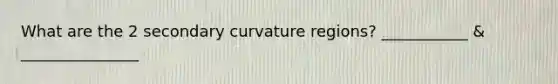 What are the 2 secondary curvature regions? ___________ & _______________