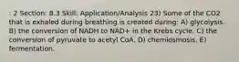 : 2 Section: 8.3 Skill: Application/Analysis 23) Some of the CO2 that is exhaled during breathing is created during: A) glycolysis. B) the conversion of NADH to NAD+ in the Krebs cycle. C) the conversion of pyruvate to acetyl CoA. D) chemiosmosis. E) fermentation.