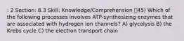 : 2 Section: 8.3 Skill: Knowledge/Comprehension 45) Which of the following processes involves ATP-synthesizing enzymes that are associated with hydrogen ion channels? A) glycolysis B) the Krebs cycle C) the electron transport chain