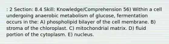 : 2 Section: 8.4 Skill: Knowledge/Comprehension 56) Within a cell undergoing anaerobic metabolism of glucose, fermentation occurs in the: A) phospholipid bilayer of the cell membrane. B) stroma of the chloroplast. C) mitochondrial matrix. D) fluid portion of the cytoplasm. E) nucleus.