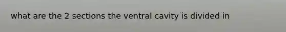 what are the 2 sections the ventral cavity is divided in