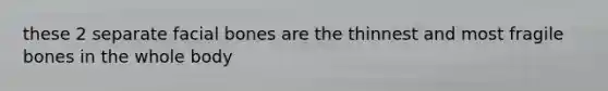 these 2 separate facial bones are the thinnest and most fragile bones in the whole body