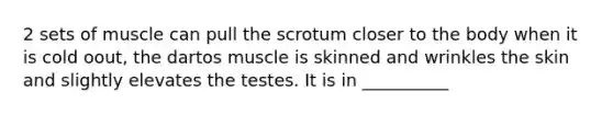 2 sets of muscle can pull the scrotum closer to the body when it is cold oout, the dartos muscle is skinned and wrinkles the skin and slightly elevates the testes. It is in __________