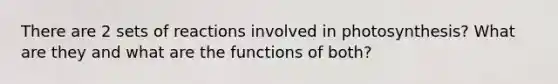 There are 2 sets of reactions involved in photosynthesis? What are they and what are the functions of both?