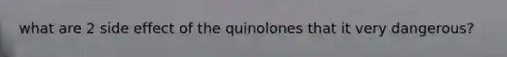 what are 2 side effect of the quinolones that it very dangerous?