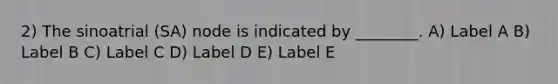 2) The sinoatrial (SA) node is indicated by ________. A) Label A B) Label B C) Label C D) Label D E) Label E