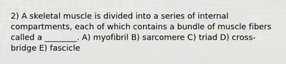 2) A skeletal muscle is divided into a series of internal compartments, each of which contains a bundle of muscle fibers called a ________. A) myofibril B) sarcomere C) triad D) cross-bridge E) fascicle