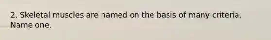 2. Skeletal muscles are named on the basis of many criteria. Name one.