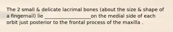 The 2 small & delicate lacrimal bones (about the size & shape of a fingernail) lie ___________________on the medial side of each orbit just posterior to the frontal process of the maxilla .