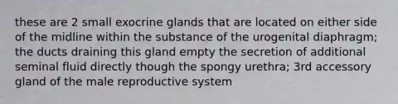 these are 2 small exocrine glands that are located on either side of the midline within the substance of the urogenital diaphragm; the ducts draining this gland empty the secretion of additional seminal fluid directly though the spongy urethra; 3rd accessory gland of the male reproductive system