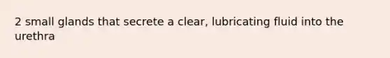 2 small glands that secrete a clear, lubricating fluid into the urethra