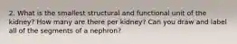 2. What is the smallest structural and functional unit of the kidney? How many are there per kidney? Can you draw and label all of the segments of a nephron?