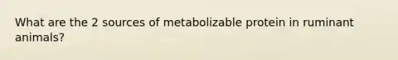 What are the 2 sources of metabolizable protein in ruminant animals?