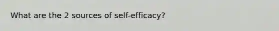 What are the 2 sources of self-efficacy?