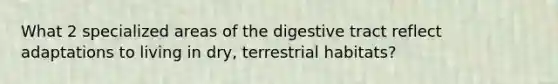 What 2 specialized areas of the digestive tract reflect adaptations to living in dry, terrestrial habitats?