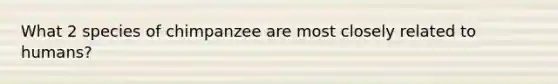 What 2 species of chimpanzee are most closely related to humans?