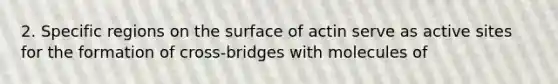 2. Specific regions on the surface of actin serve as active sites for the formation of cross-bridges with molecules of