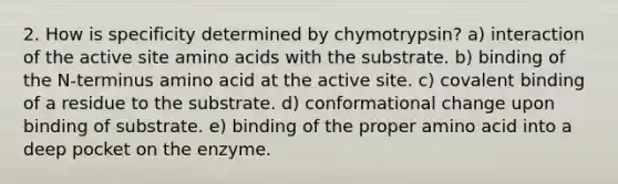 2. How is specificity determined by chymotrypsin? a) interaction of the active site amino acids with the substrate. b) binding of the N-terminus amino acid at the active site. c) covalent binding of a residue to the substrate. d) conformational change upon binding of substrate. e) binding of the proper amino acid into a deep pocket on the enzyme.