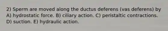 2) Sperm are moved along the ductus deferens (vas deferens) by A) hydrostatic force. B) ciliary action. C) peristaltic contractions. D) suction. E) hydraulic action.