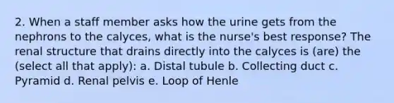 2. When a staff member asks how the urine gets from the nephrons to the calyces, what is the nurse's best response? The renal structure that drains directly into the calyces is (are) the (select all that apply): a. Distal tubule b. Collecting duct c. Pyramid d. Renal pelvis e. Loop of Henle