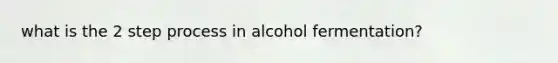 what is the 2 step process in alcohol fermentation?