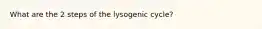 What are the 2 steps of the lysogenic cycle?