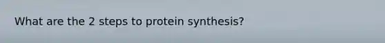 What are the 2 steps to protein synthesis?