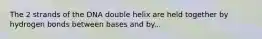 The 2 strands of the DNA double helix are held together by hydrogen bonds between bases and by...