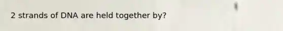 2 strands of DNA are held together by?