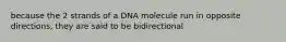 because the 2 strands of a DNA molecule run in opposite directions, they are said to be bidirectional