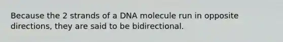 Because the 2 strands of a DNA molecule run in opposite directions, they are said to be bidirectional.