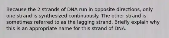 Because the 2 strands of DNA run in opposite directions, only one strand is synthesized continuously. The other strand is sometimes referred to as the lagging strand. Briefly explain why this is an appropriate name for this strand of DNA.