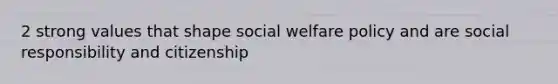 2 strong values that shape social welfare policy and are social responsibility and citizenship