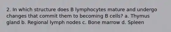 2. In which structure does B lymphocytes mature and undergo changes that commit them to becoming B cells? a. Thymus gland b. Regional lymph nodes c. Bone marrow d. Spleen