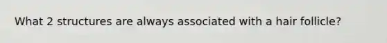 What 2 structures are always associated with a hair follicle?
