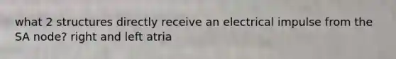 what 2 structures directly receive an electrical impulse from the SA node? right and left atria