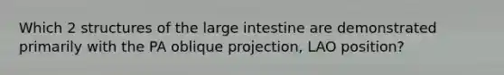 Which 2 structures of the large intestine are demonstrated primarily with the PA oblique projection, LAO position?