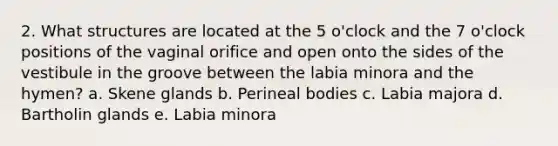 2. What structures are located at the 5 o'clock and the 7 o'clock positions of the vaginal orifice and open onto the sides of the vestibule in the groove between the labia minora and the hymen? a. Skene glands b. Perineal bodies c. Labia majora d. Bartholin glands e. Labia minora