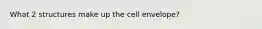 What 2 structures make up the cell envelope?