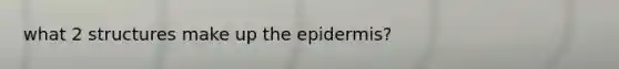 what 2 structures make up the epidermis?