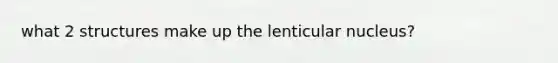 what 2 structures make up the lenticular nucleus?