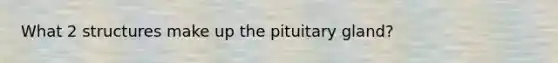 What 2 structures make up the pituitary gland?