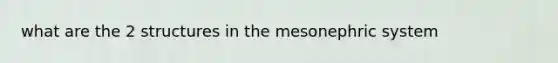 what are the 2 structures in the mesonephric system