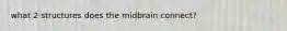 what 2 structures does the midbrain connect?