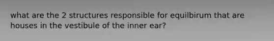 what are the 2 structures responsible for equilbirum that are houses in the vestibule of the inner ear?