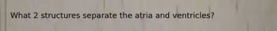 What 2 structures separate the atria and ventricles?