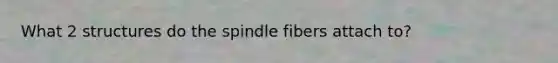 What 2 structures do the spindle fibers attach to?