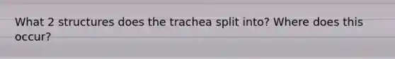 What 2 structures does the trachea split into? Where does this occur?