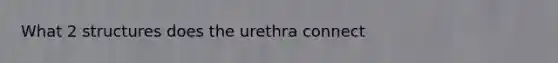 What 2 structures does the urethra connect